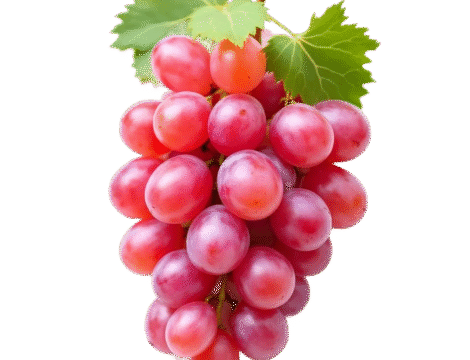 Grapes